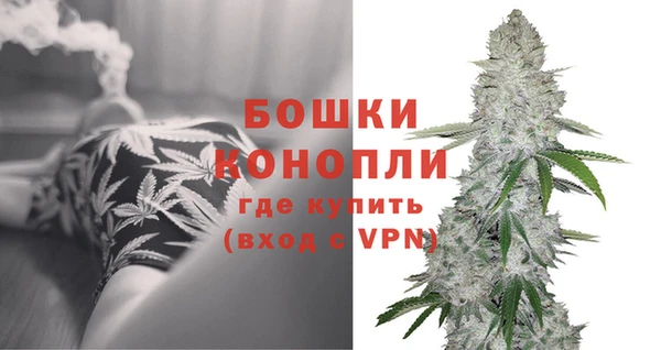 трава Балахна