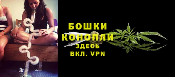 МДПВ Протвино