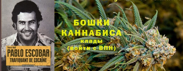 трава Балахна